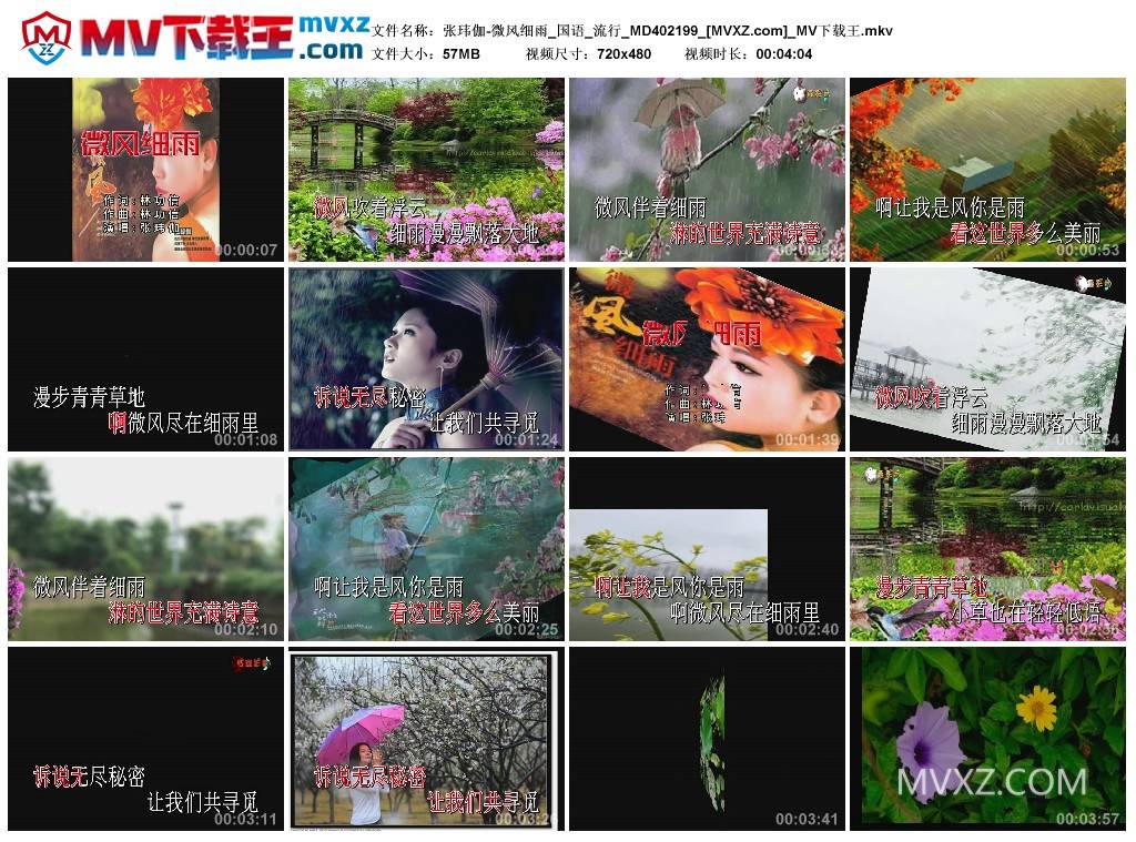 张玮伽-微风细雨_国语_流行_MD402199